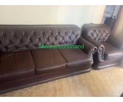 Brown Sofa